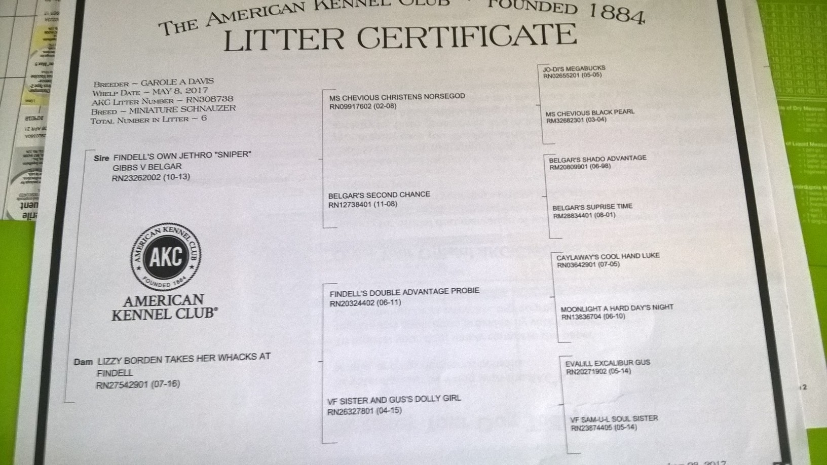 Polly's Pedigree