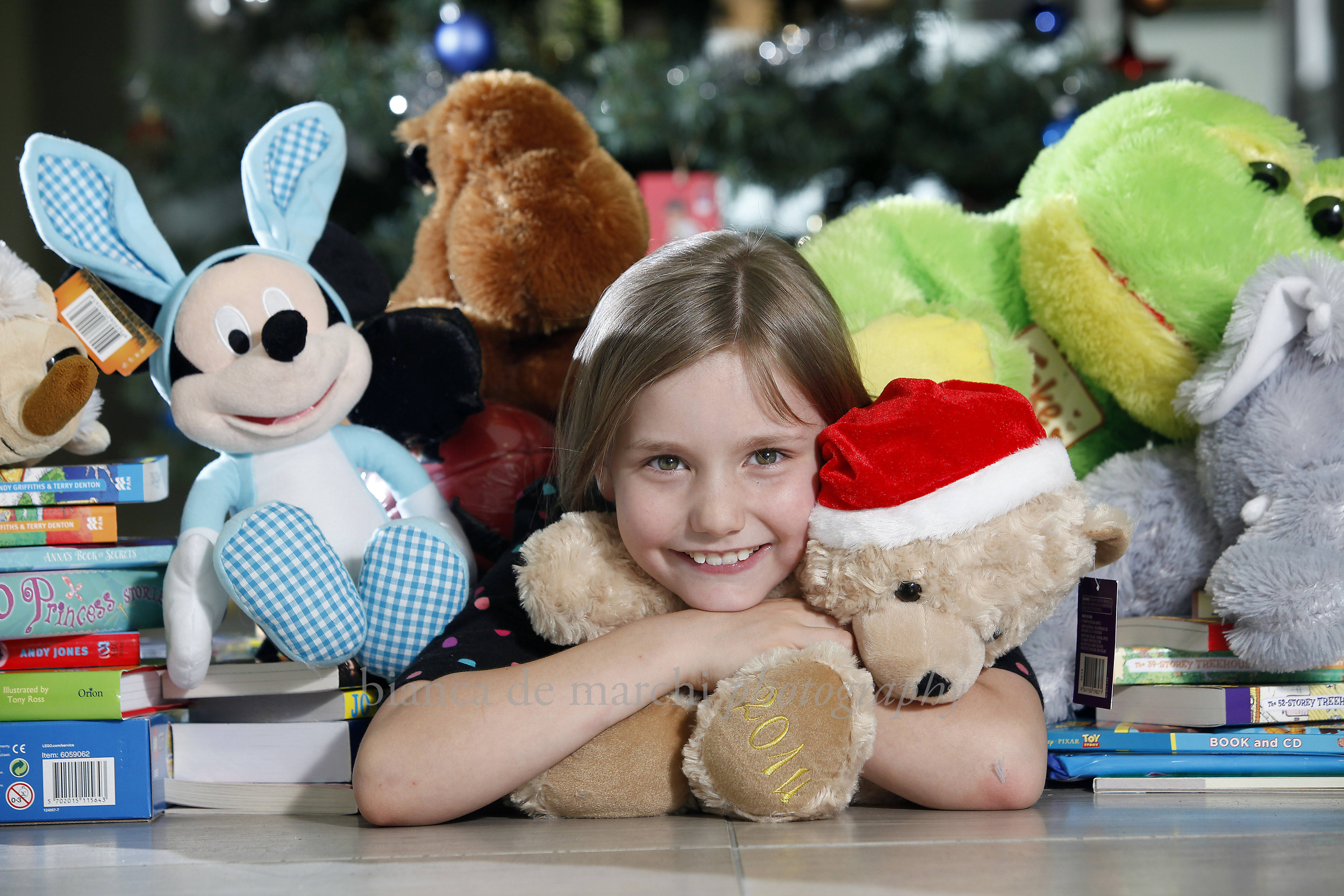 CHP_Export_101944112_the Smith Family is appealing for toys and books this year Christy Parker is no.jpg