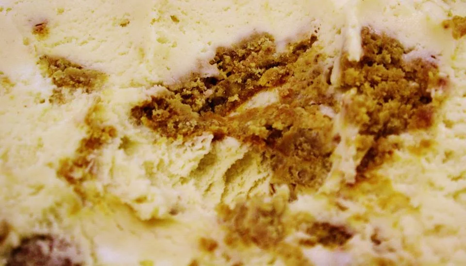 Oatmeal Cookie Ice Cream