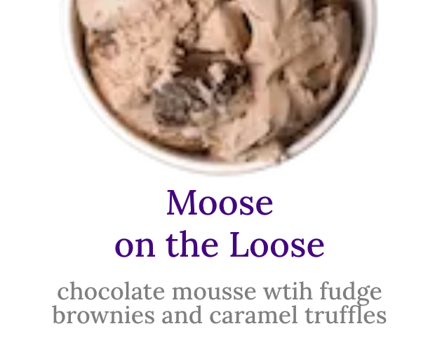 Screenshot 2026-02-18 at 1.04.38 PM.png