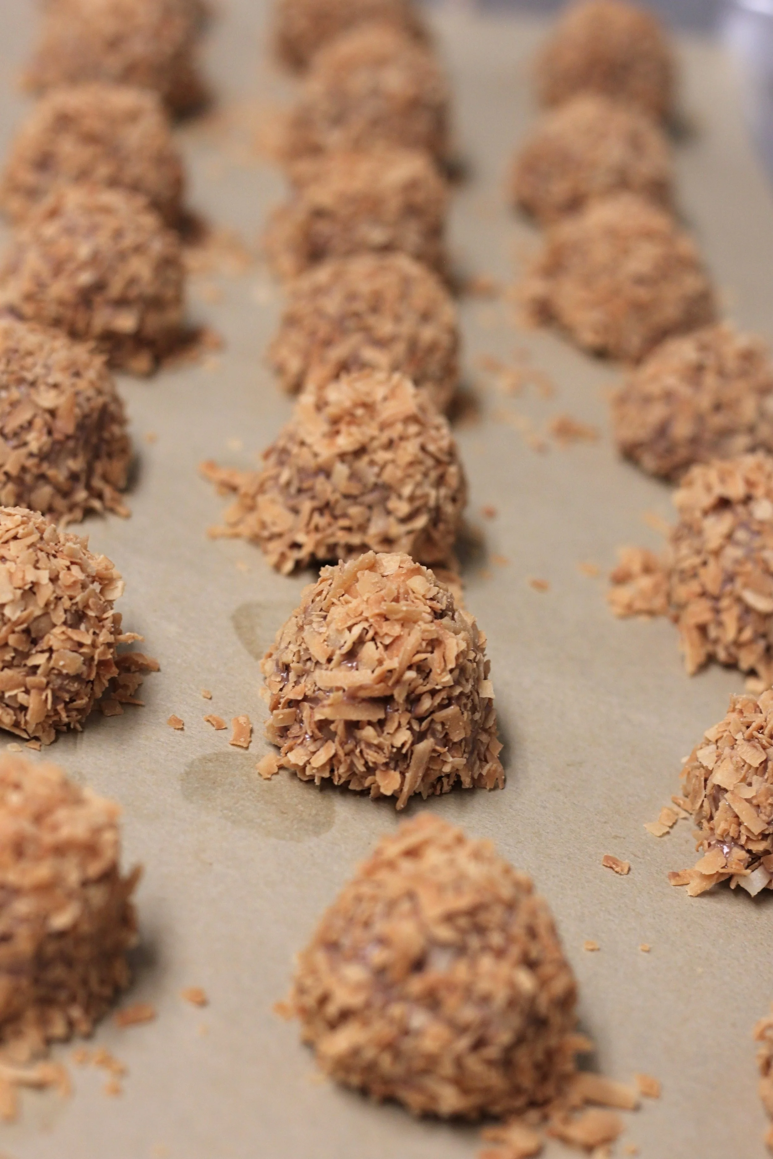 Caramel Coconut Crunchies
