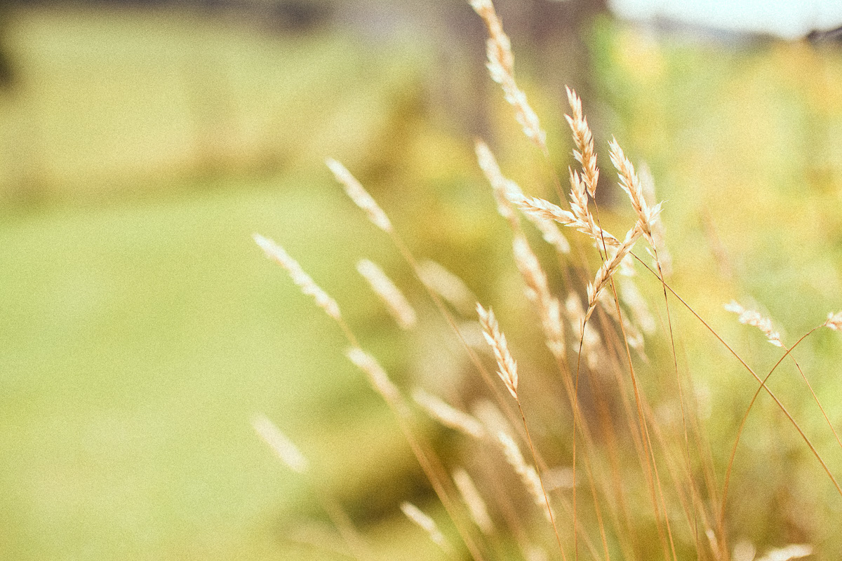 gh4-7.jpg