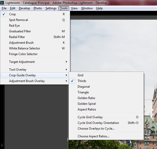 Crop Guide Overlays in the Tools Menu