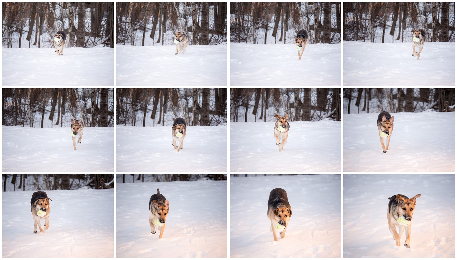 Continuous autofocus with tracking with the Panasonic 35-100mm f/2.8 on the Panasonic Lumix GH4