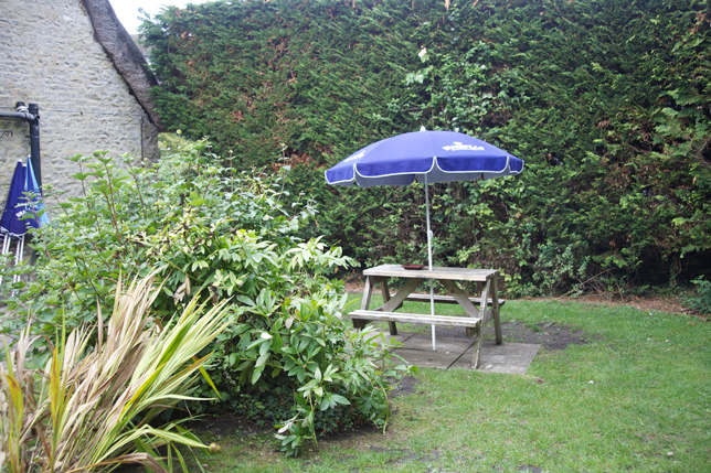 A very small part of the garden