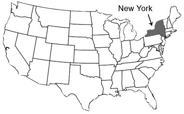 New-York-state-USA