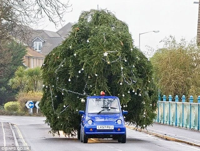 christmas_tree_00.jpg
