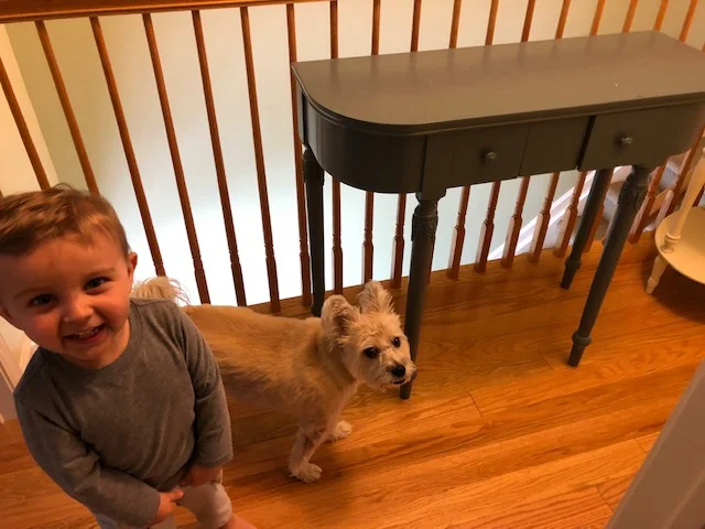The desk today. Plus a child. Yes, that’s the same dog!
