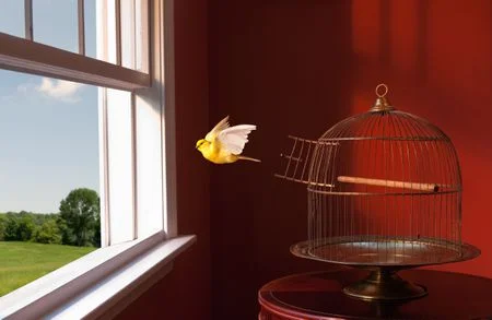 bird.jpg