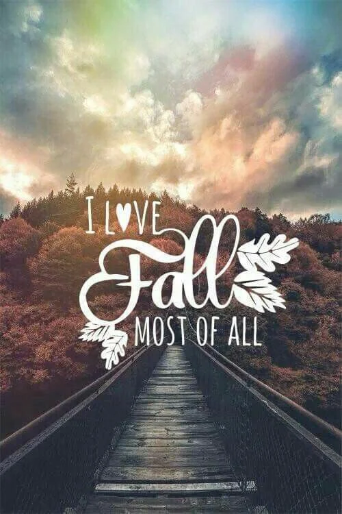 Fall.jpg