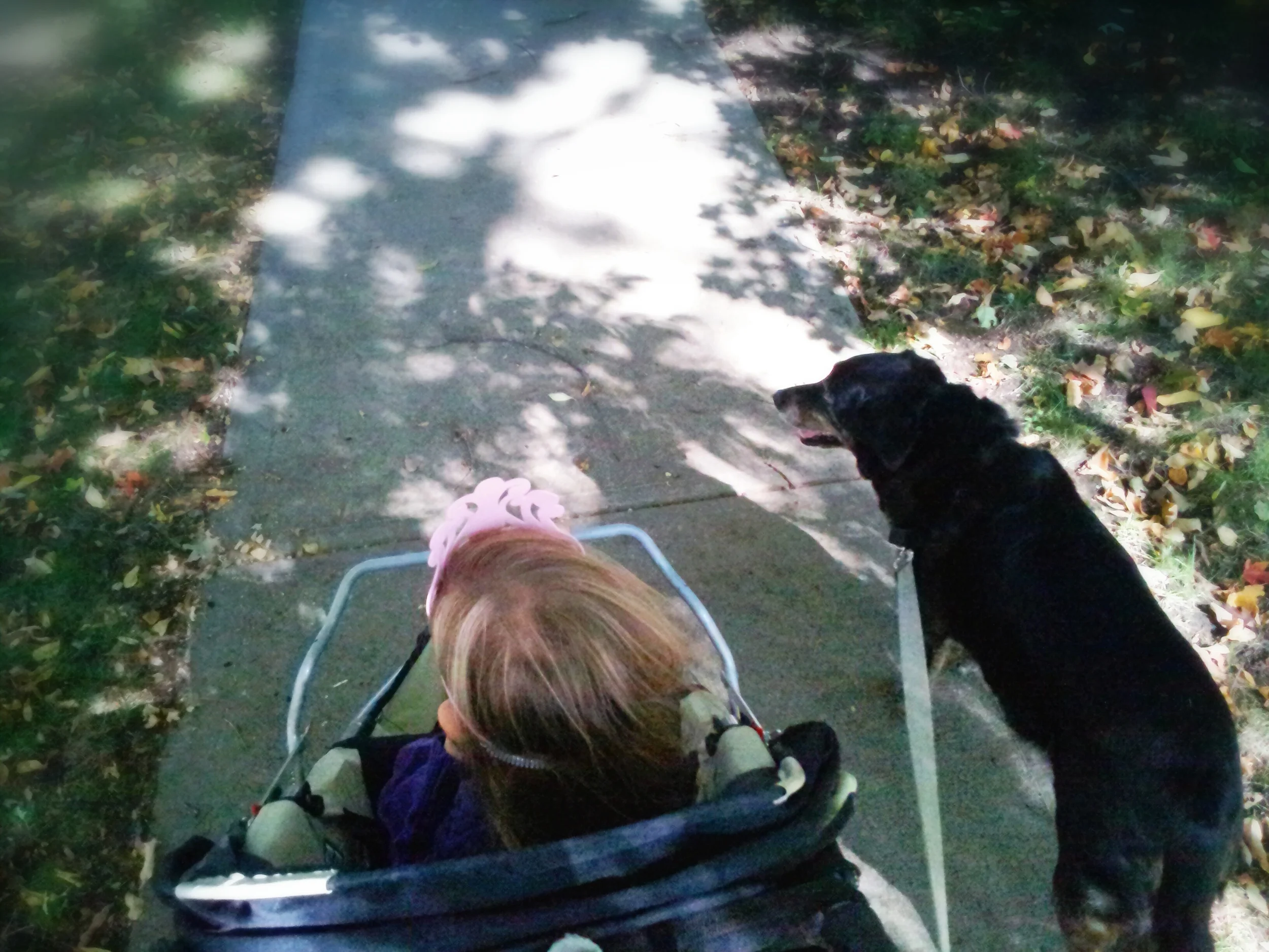 10.05.14 Afternoon Walk