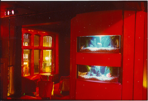 'fish tank corner' on the way to Room 3.