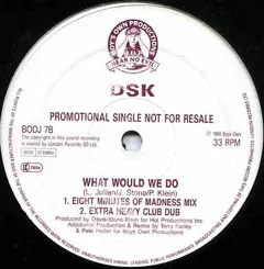 RiL063 DSK - What Would We Do ?
