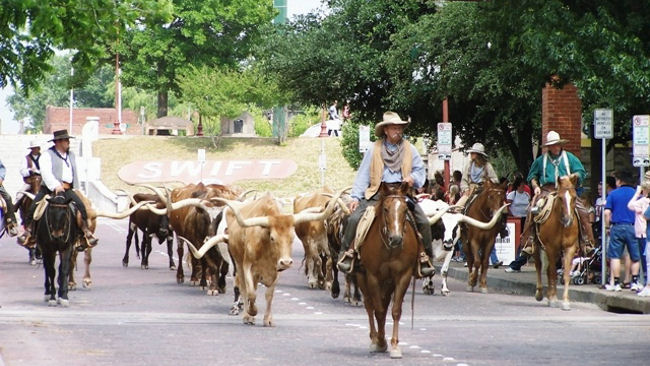 Ft-Worth-Texas-Cattle-Drive.jpg