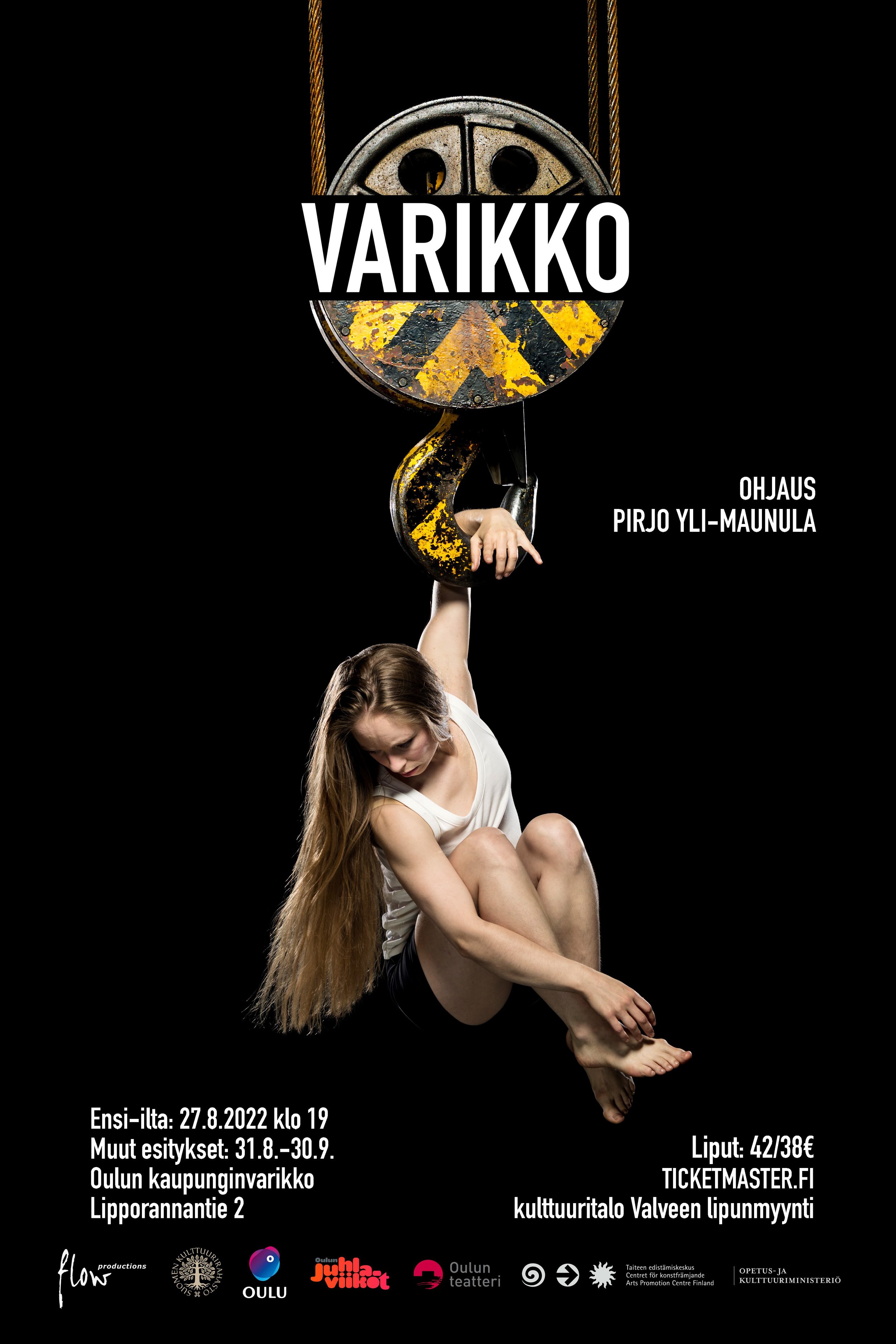  Poster for  Varikko , 2022. 