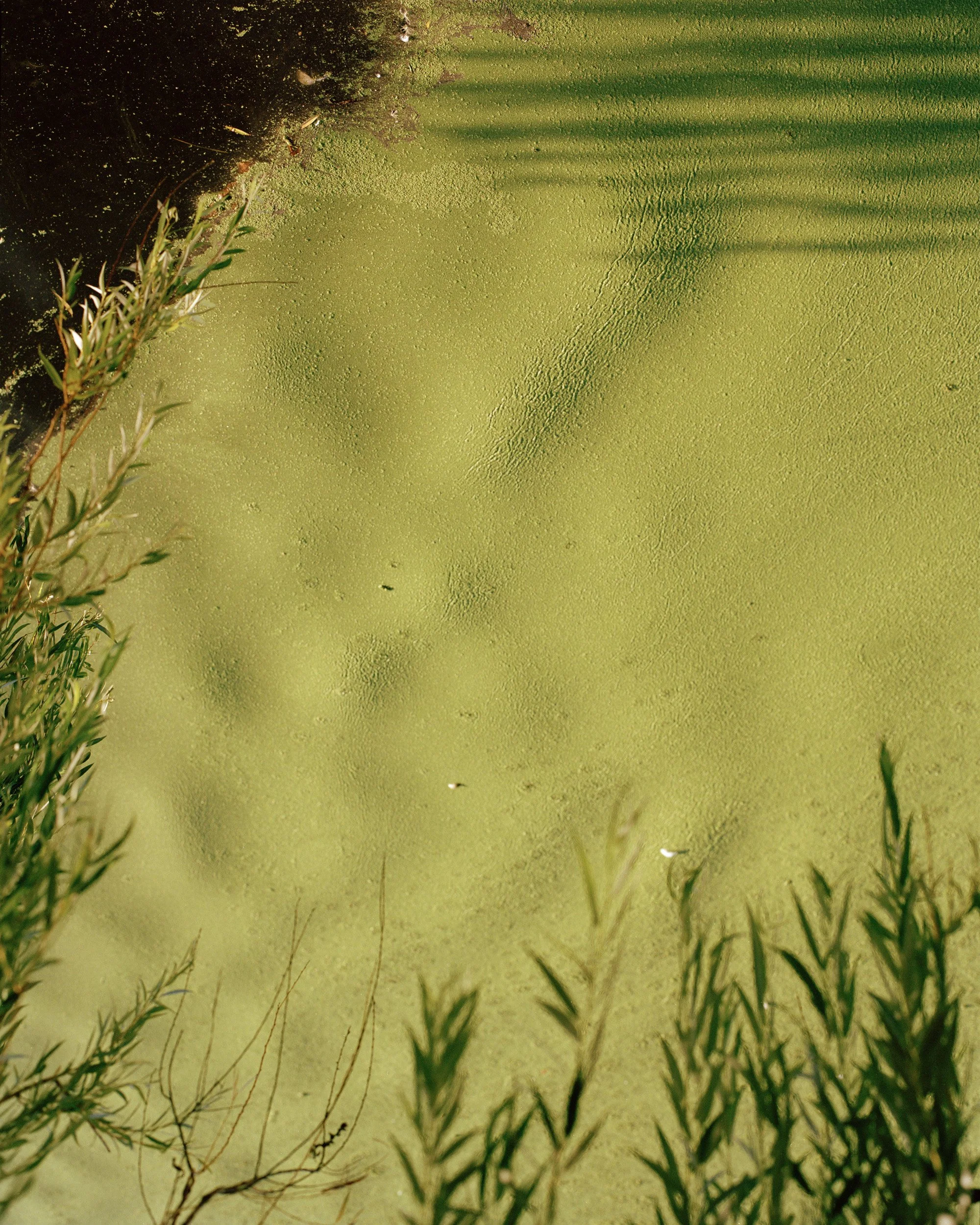 2000px - ETOTS - jpmanninencom - 006.jpg