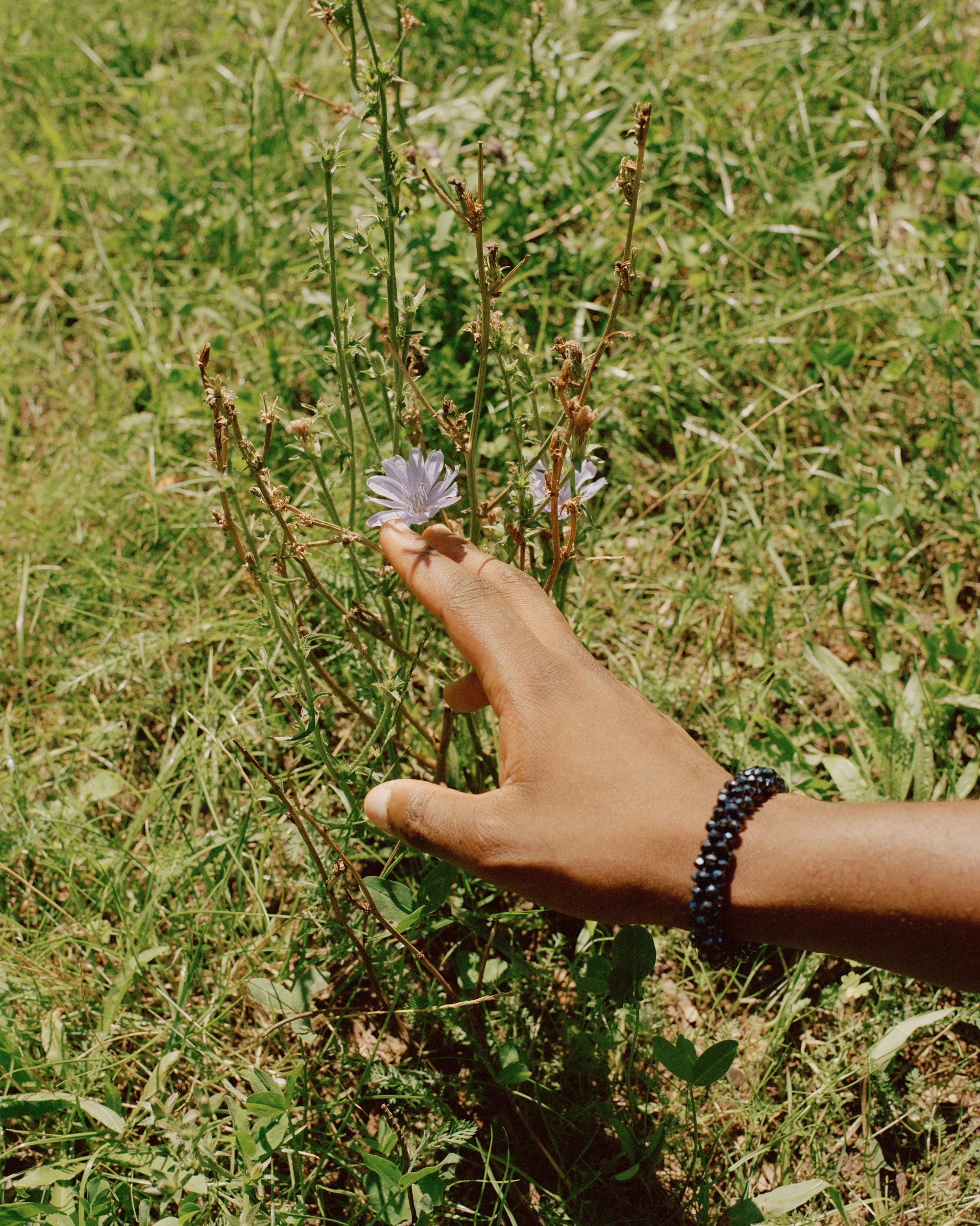 2000px - ETOTS - jpmanninencom - 007.jpg