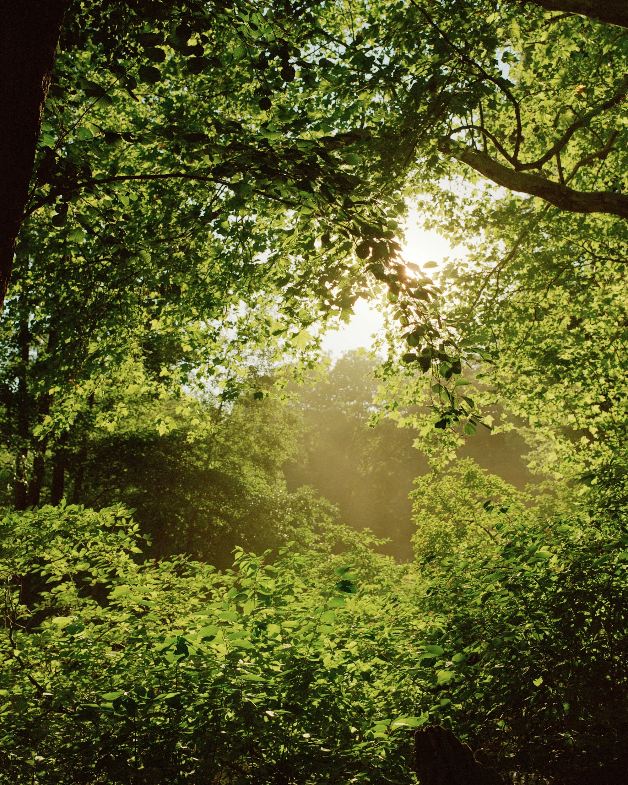 2000px - ETOTS - jpmanninencom - 016.jpg