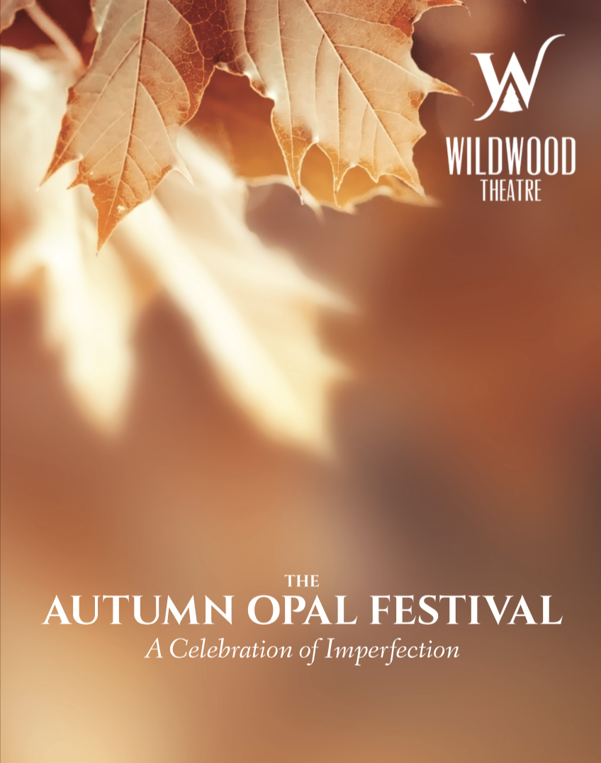 Click here to view the program from the event.