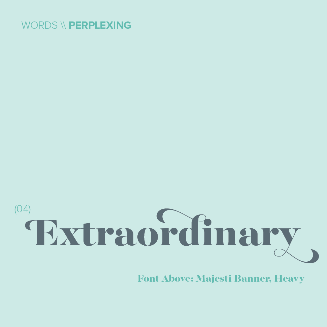 Words Perplexing_Extraordinary2_04.png