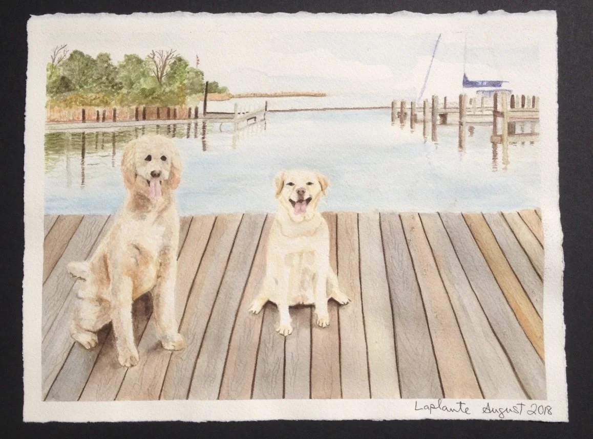 Kimberley's dogs on the dock