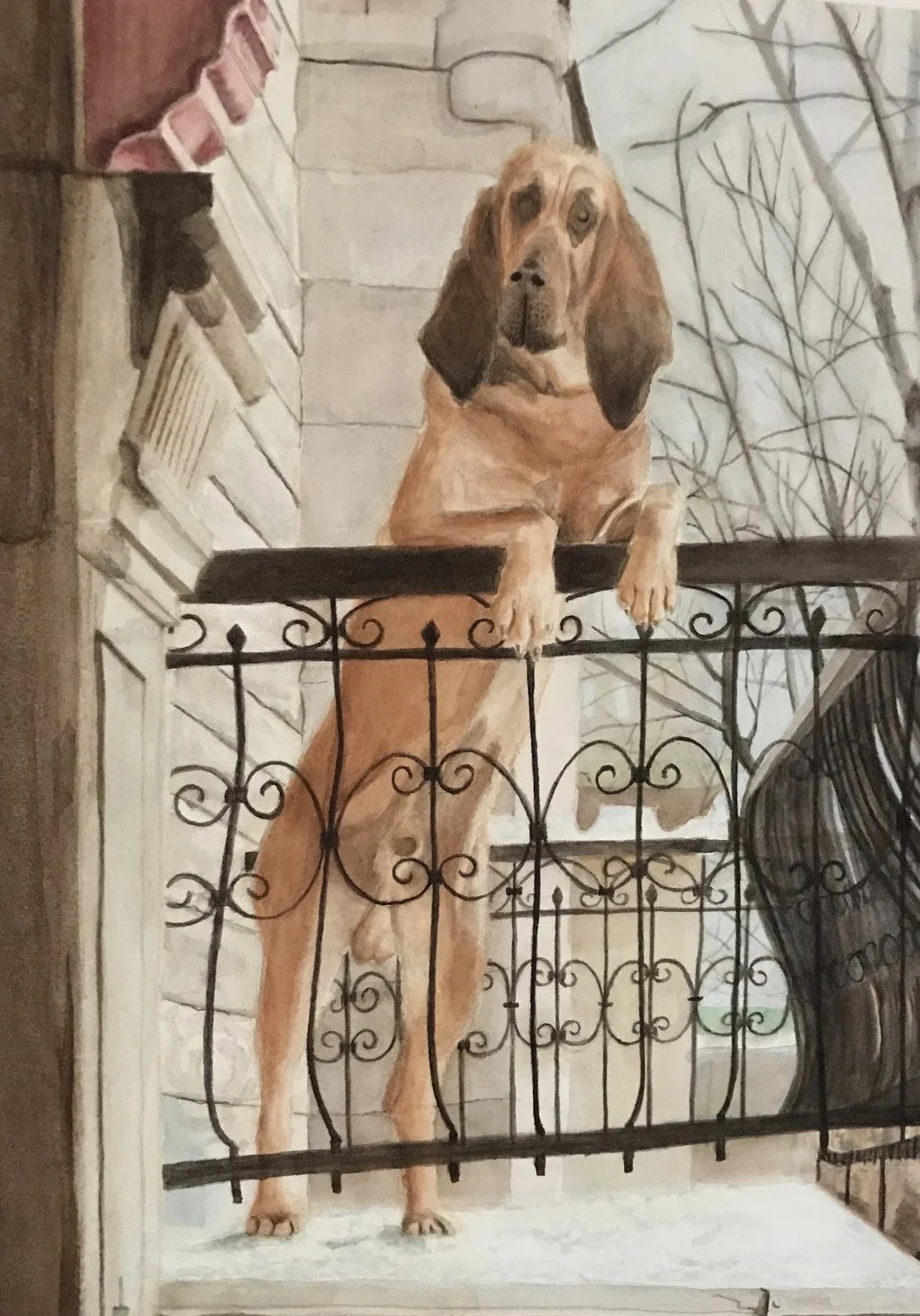 "Diefenbaker" on a balcony in Montreal