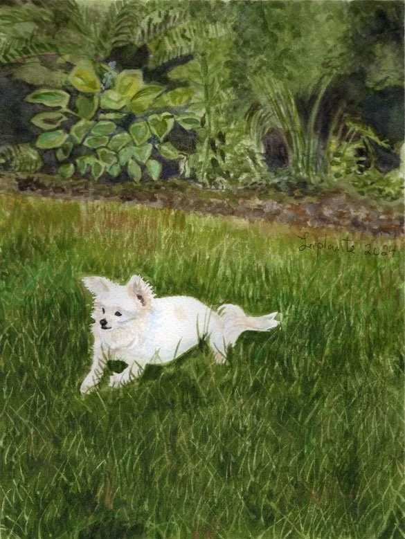"Cindy Crawford" in the grass