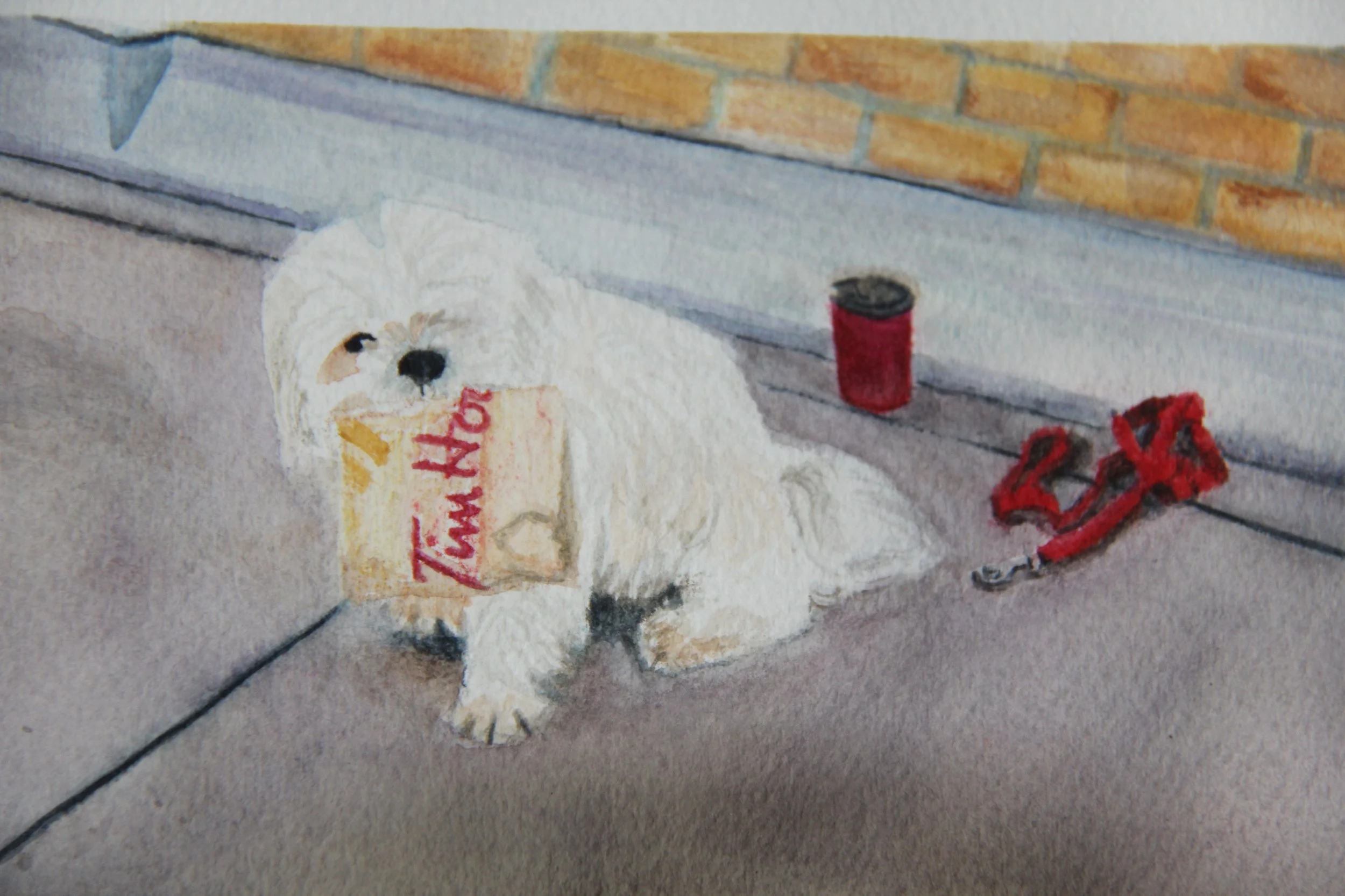 Dog waiting for owner in Goderich
