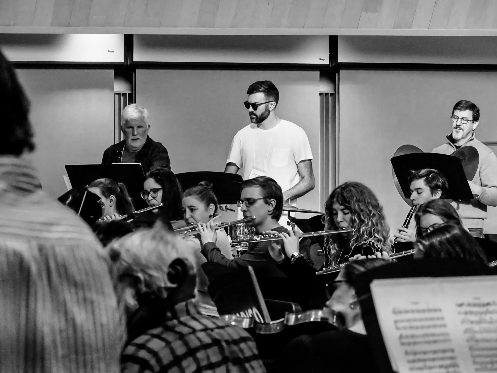 orchestra-shades.jpg