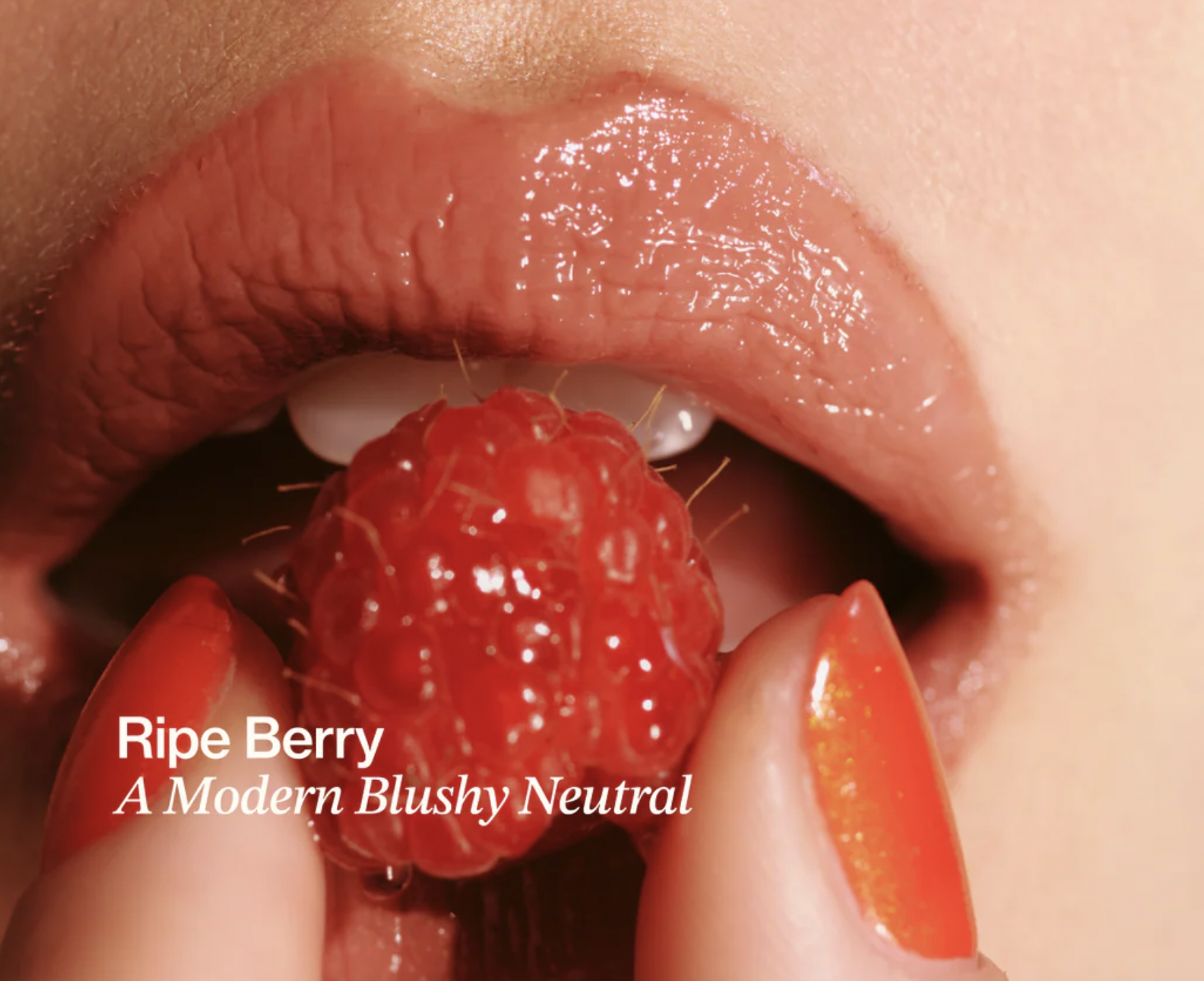 Screenshot 2026-04-06 at 4.47.27 AM.png