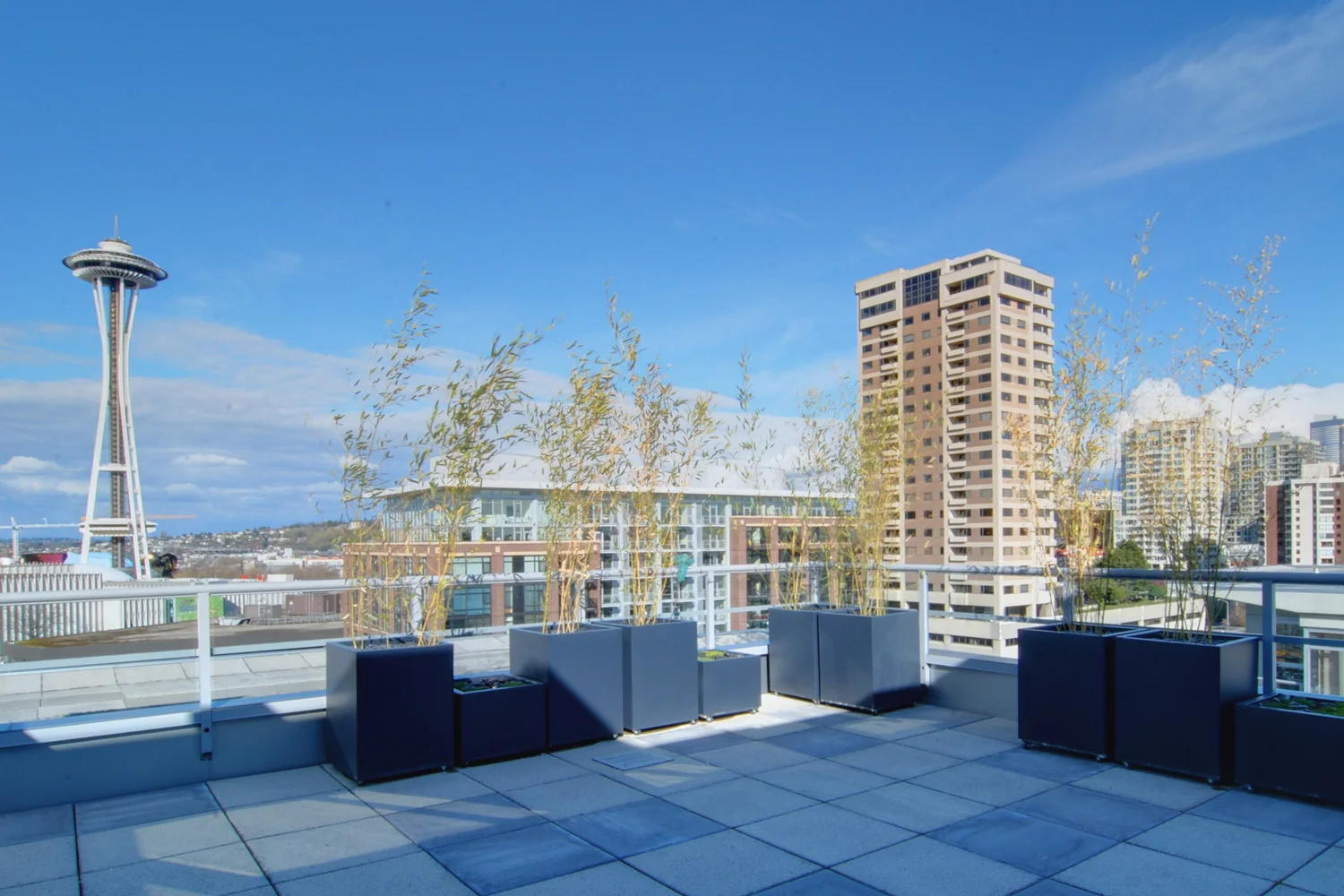 Concord Penthouse