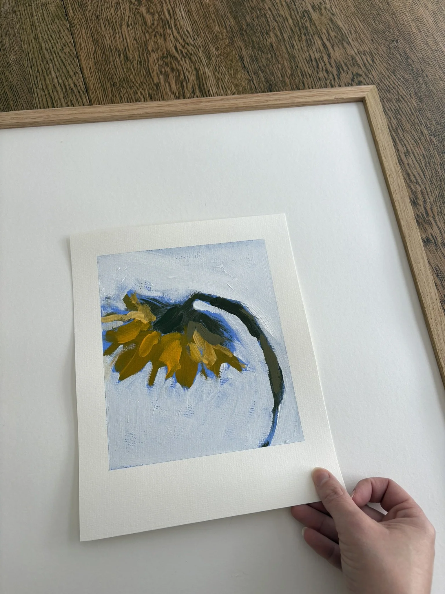 Tournesol - Numéro 13