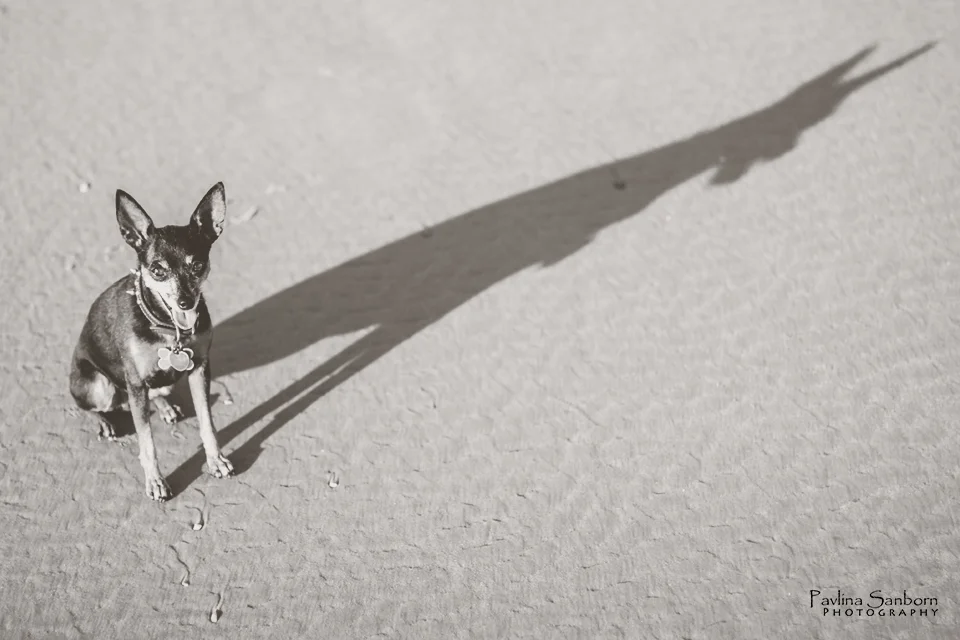 Top Ten Image: Shadows