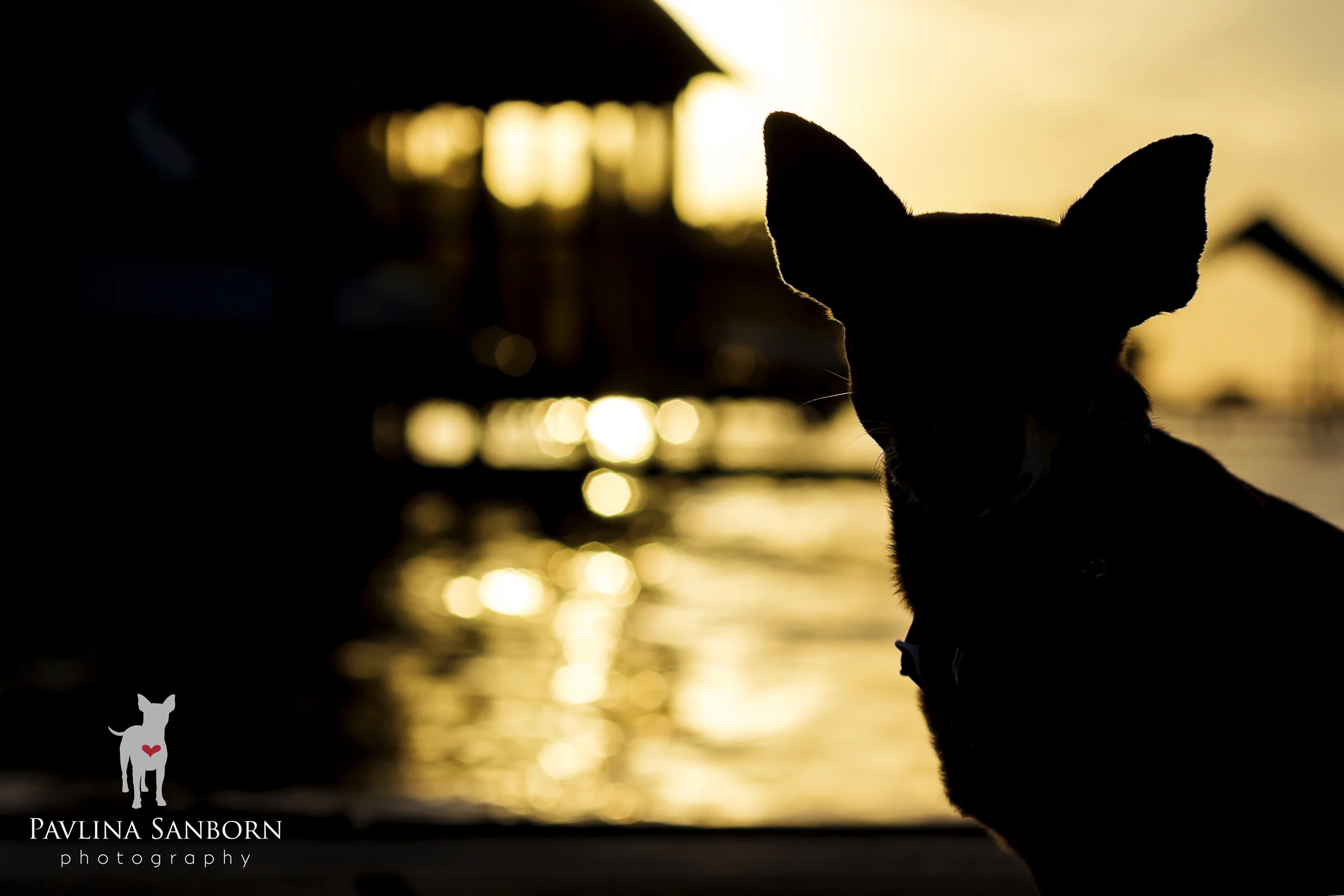 Top Ten Image: Dramatic Light