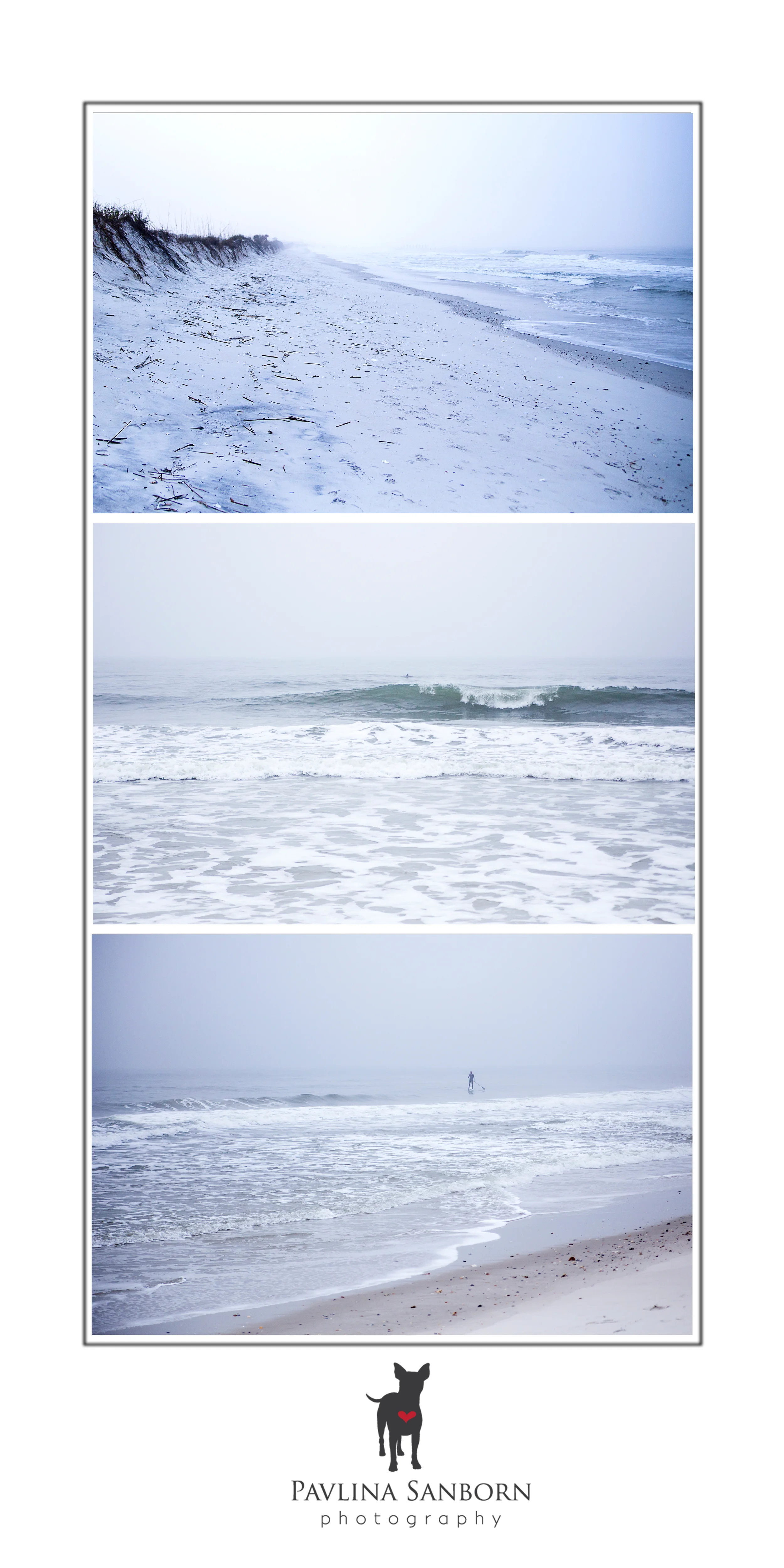 The morning foggy, cold, and beautiful beach. In the middle photo you can see a dolphin. There were schools of dolphins playing close to the beach...