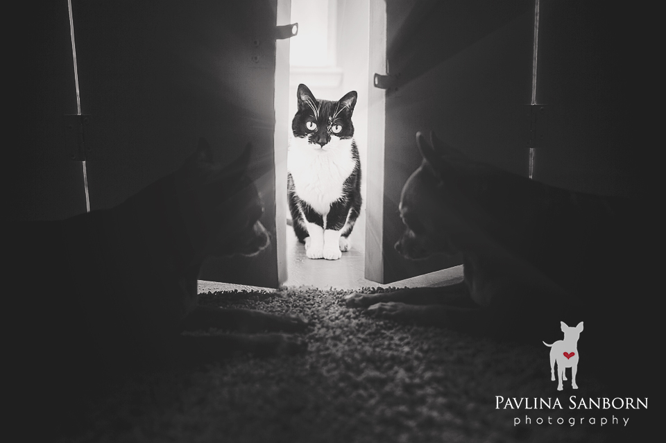 Top Ten Image: Doorway