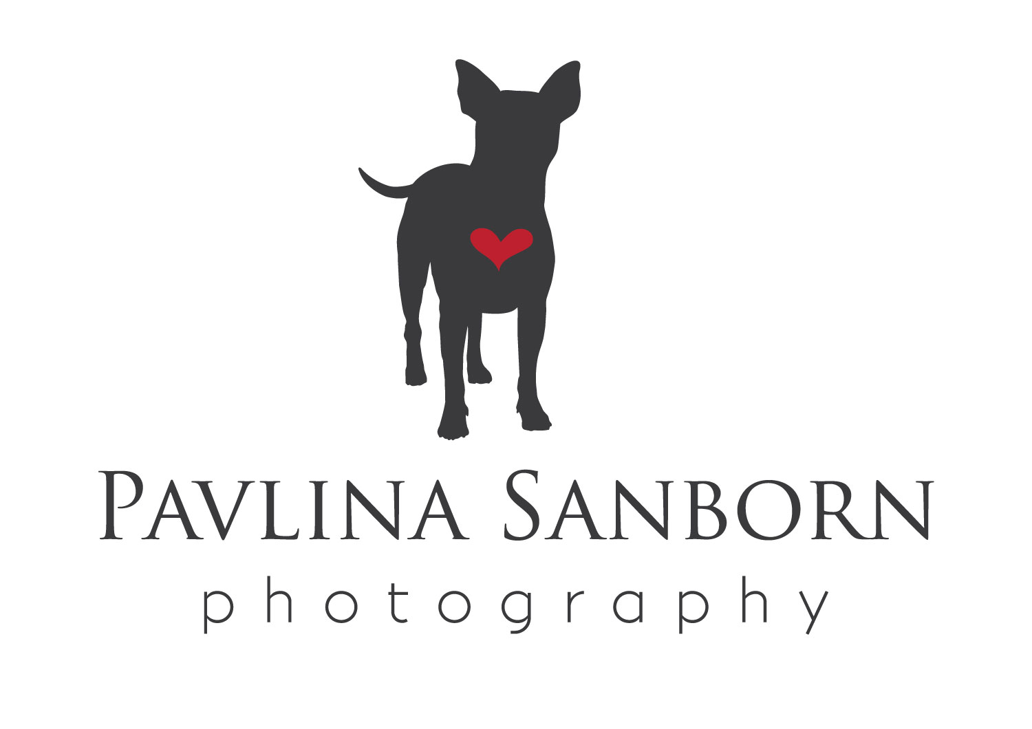 Pavlina Sanborn Photography | Sarasota Area Pet and Family Photography