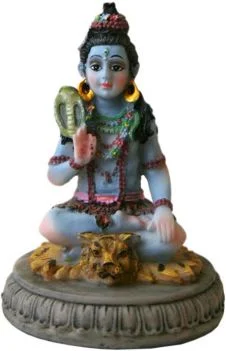 A07M Shiva 3.5-inch_226x351.jpg