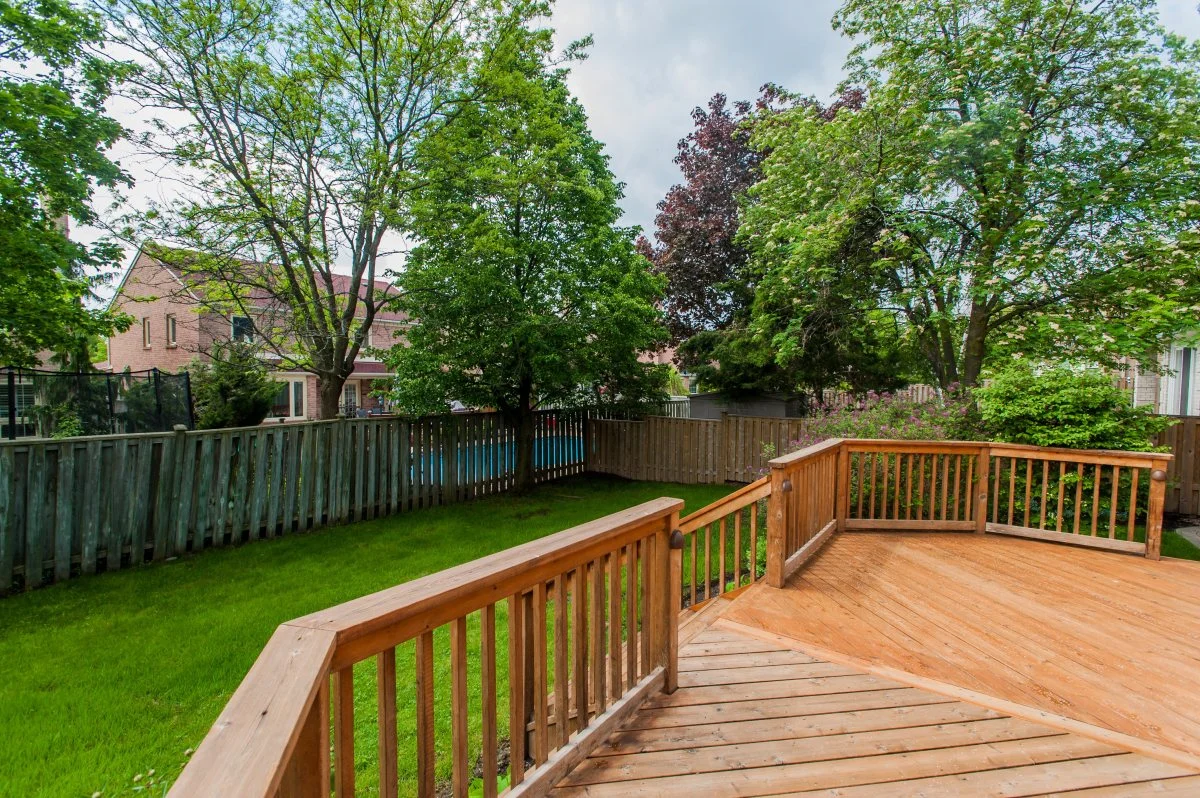 3 backyard.jpg