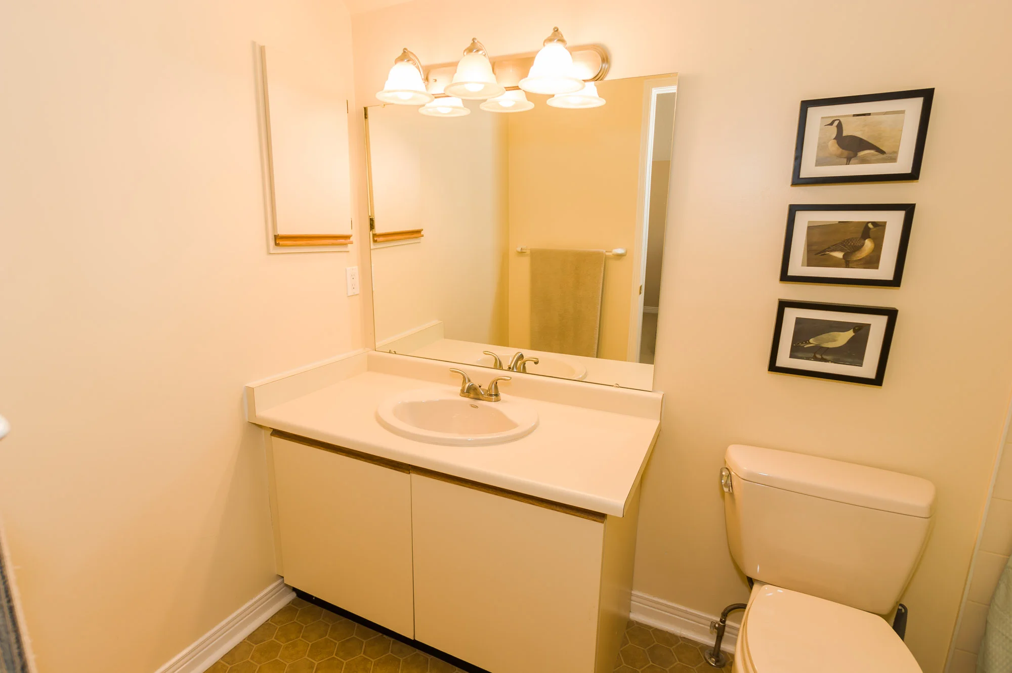 112LongwaterChase-Sample-46.jpg