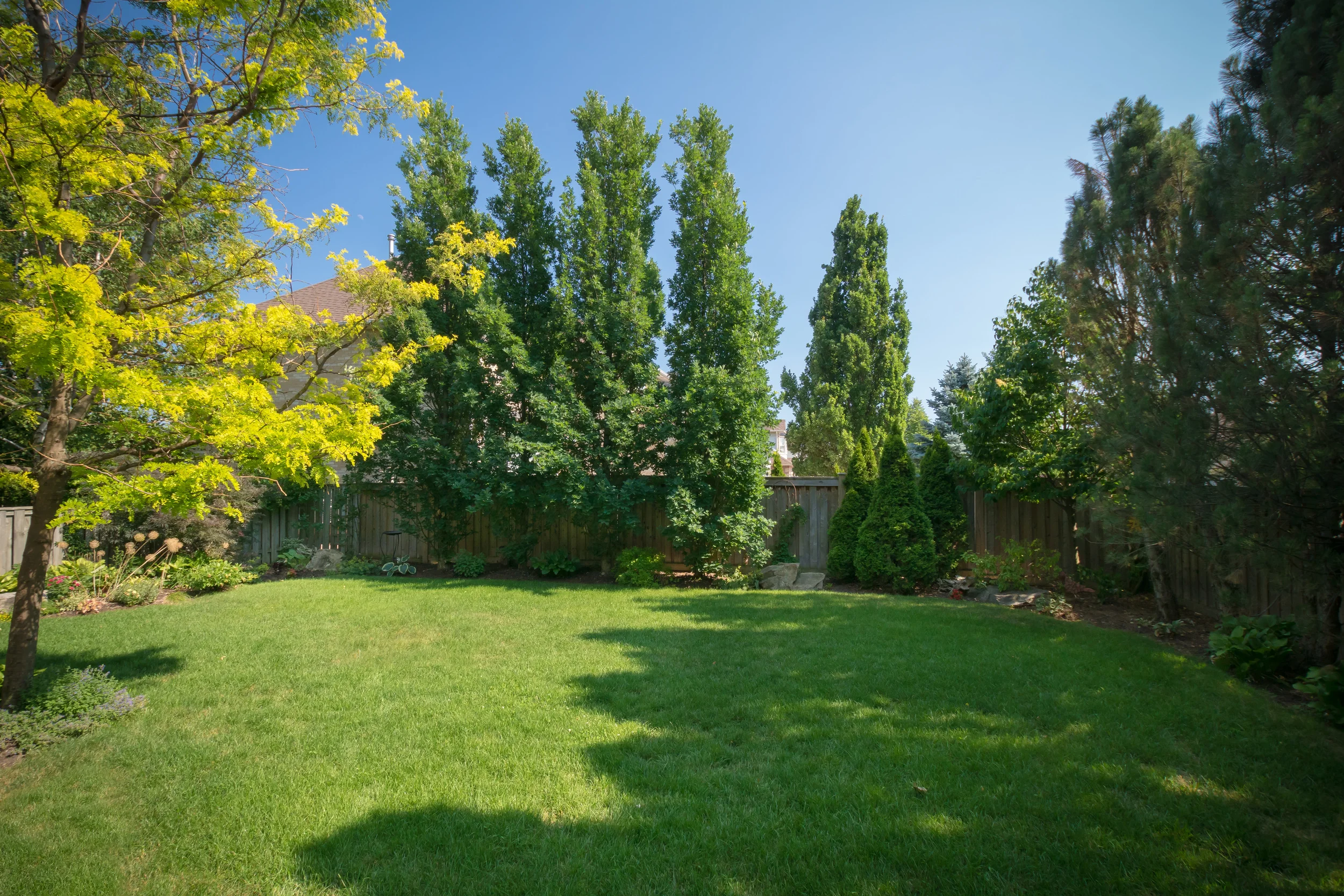 71 Longwater-1-4 Backyard 2.jpg