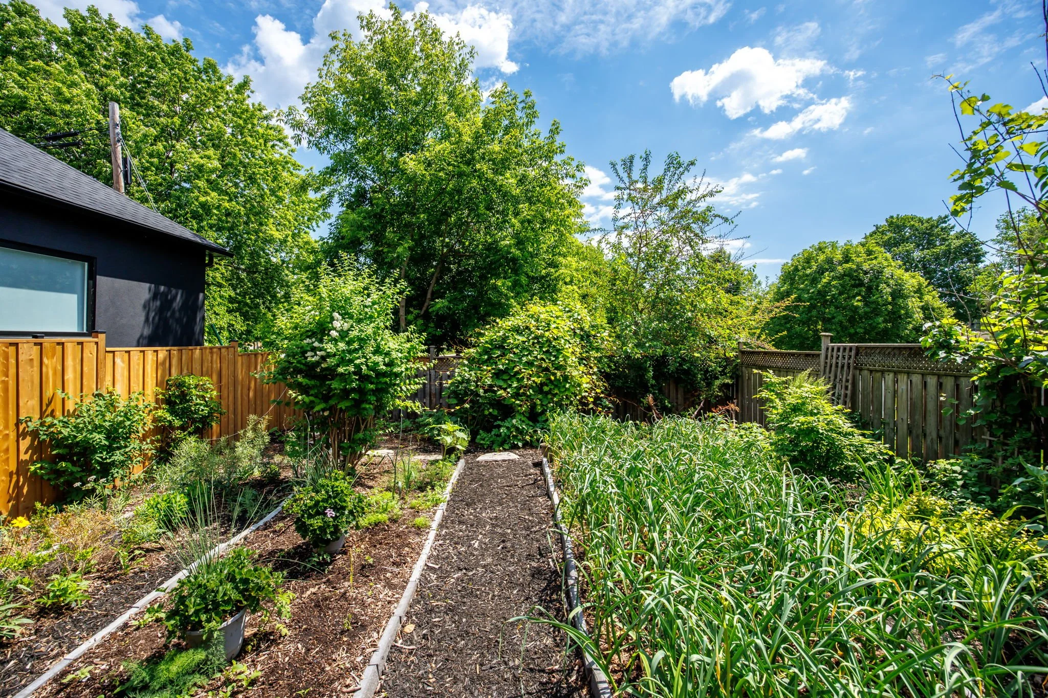 038 - 1113B Islington Ave, Toronto, ON.JPG