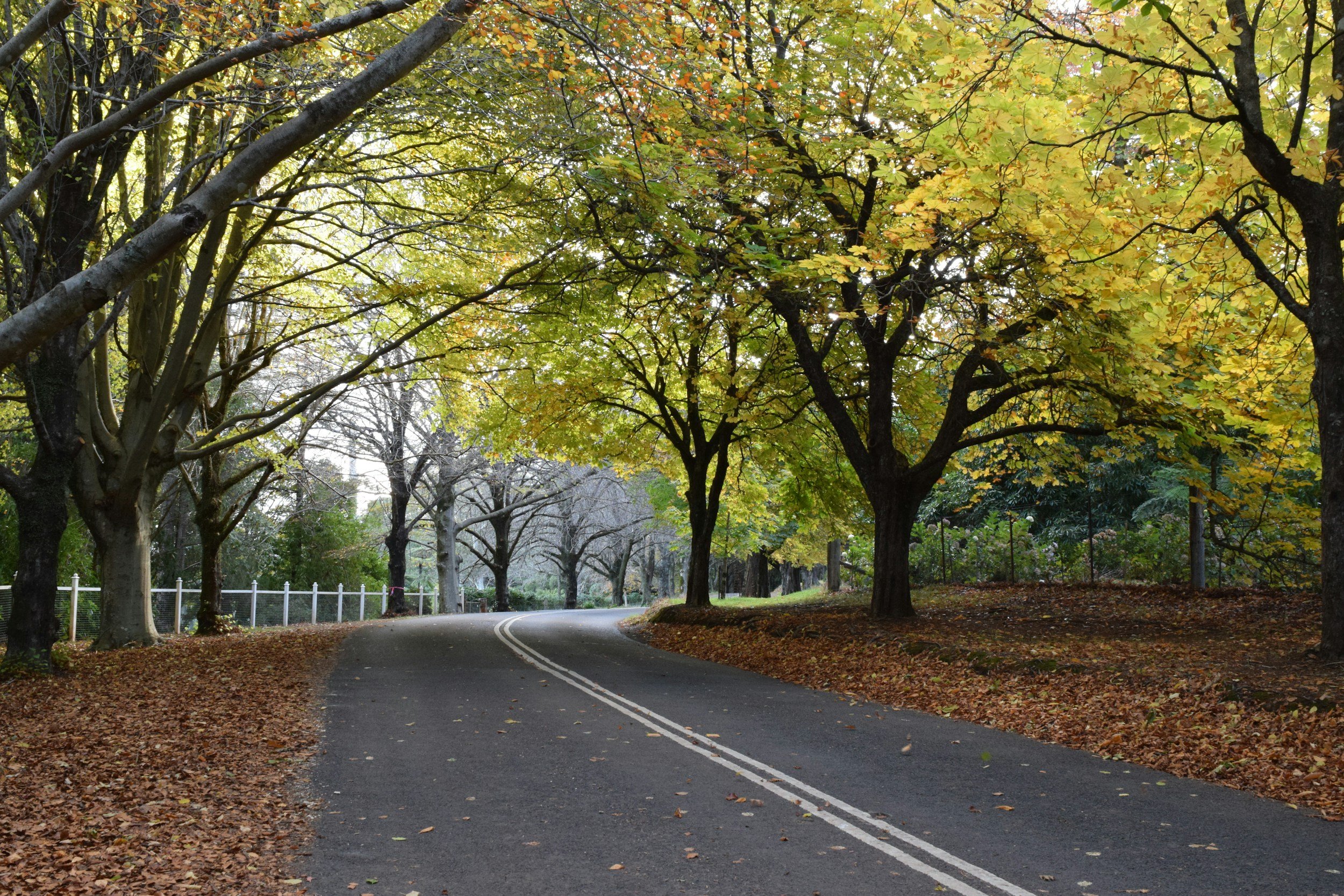 Getting Your Markham Home Ready for a Fall Sale: A Late-August Checklist