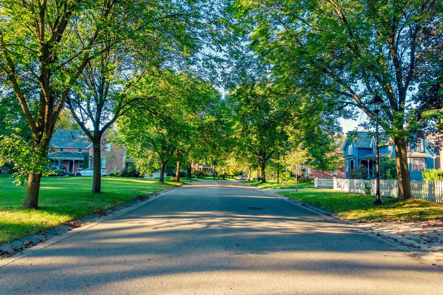 Tree-lined street of restored heritage homes in Markham Heritage Estates