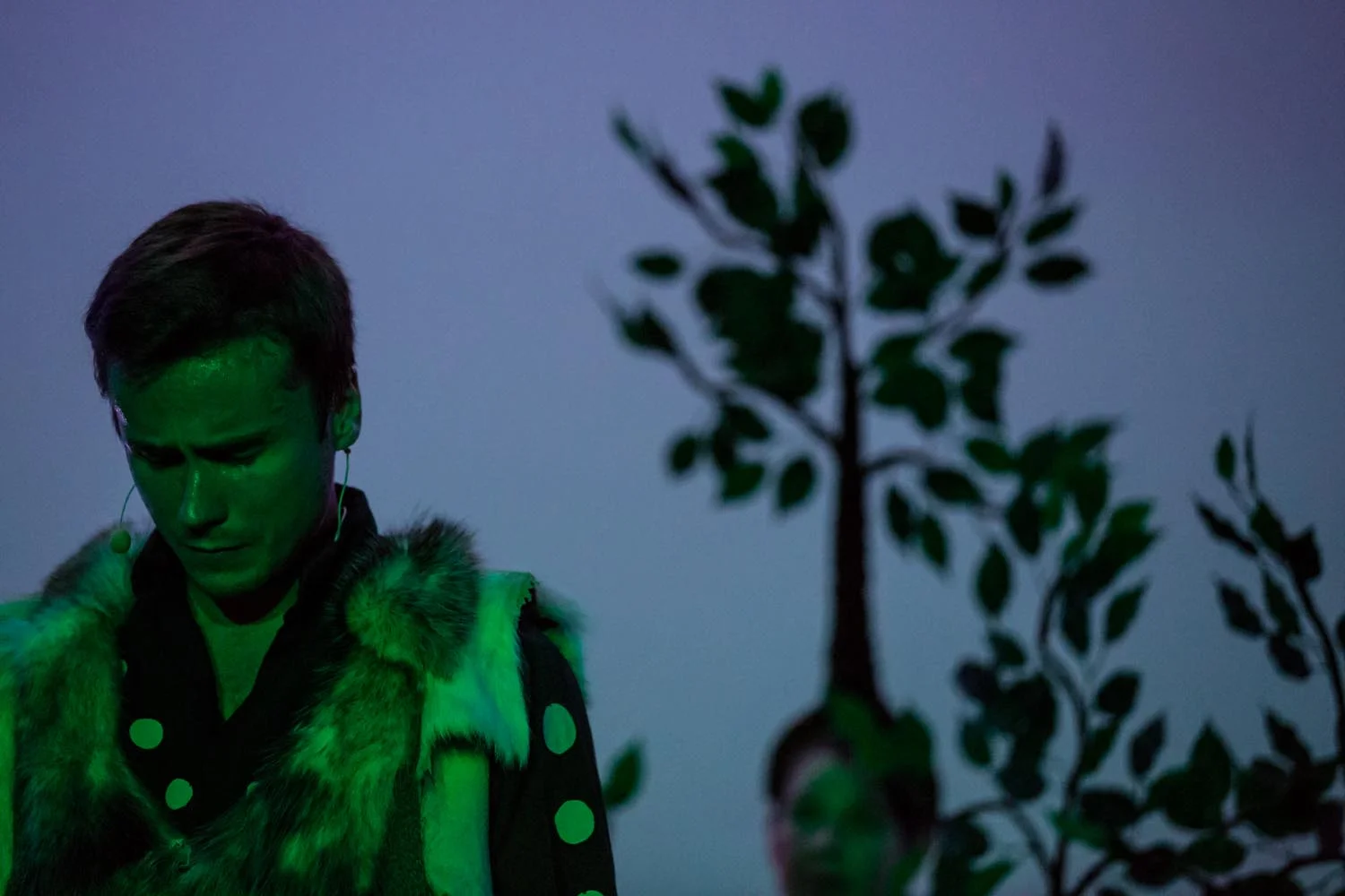 Man_amidst_the_Trees.jpg