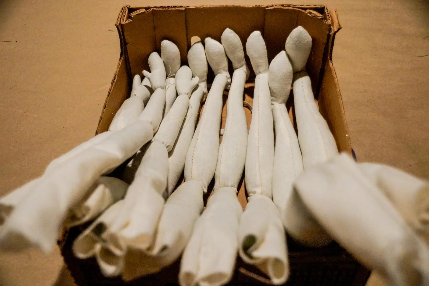 Faery_Limbs-2.jpg