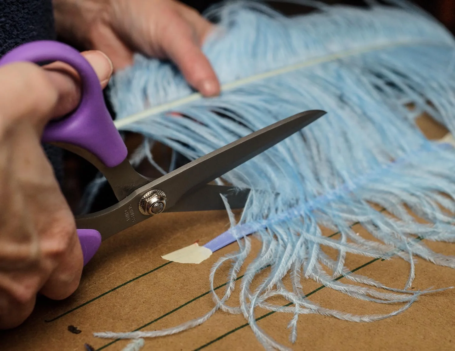 Cutting_Feathers.jpg