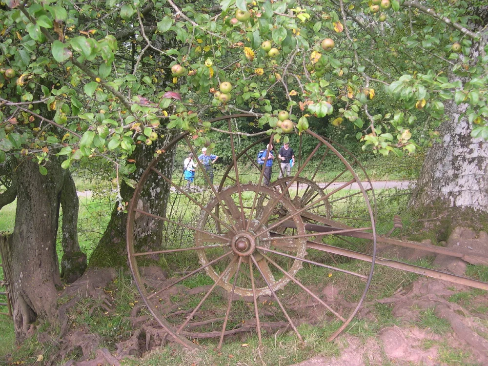 "Resistance Walk" in the Olchon Valley