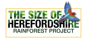 size_of_herefordshire_logo.jpg