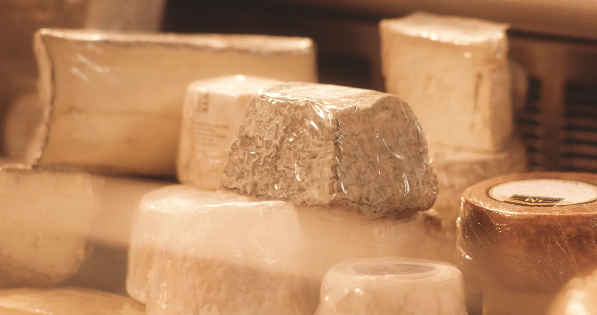 6th Cut.00_01_28_05.Still007.jpg